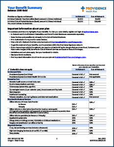 Providence - 1500 Gold Plan Cover