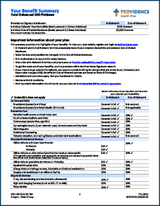 Providence - 500 Platinum Plan