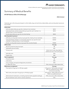 Platinum 250 w/VX & Massage Plan
