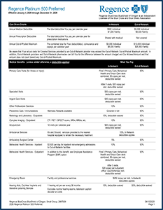 Platinum 500 Preferred Plan